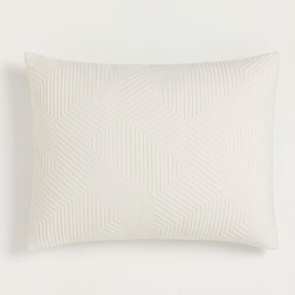 West Elm Ivory Geometric Pillows - Picture 2 of 11